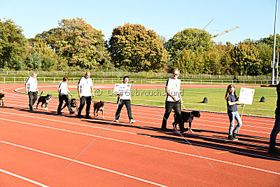 Siegerehrung, Victory Ceremony