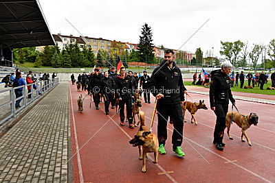 Siegerehrung, Victory Ceremony