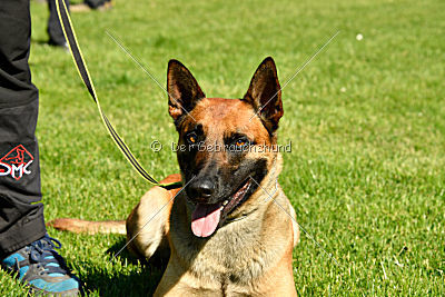 Siegerehrung, Victory Ceremony