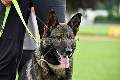 Siegerehrung, Victory Ceremony