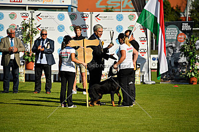 Siegerehrung, Victory Ceremony