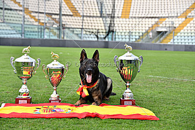 Siegerehrung, Victory Ceremony