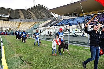 Siegerehrung, Victory Ceremony