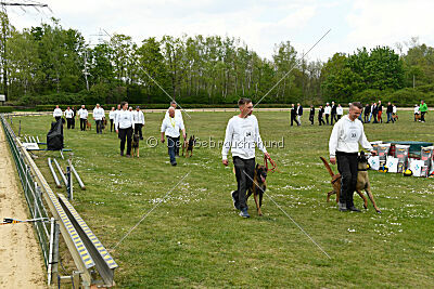 Siegerehrung, Victory Ceremony