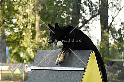 Slim von der Rußhütte