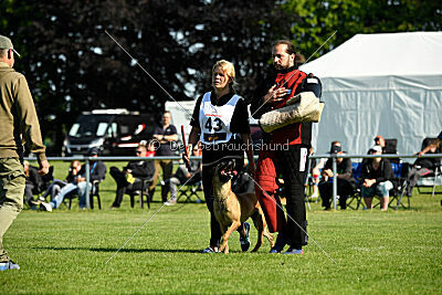 Soul of flame Bugsy-Bu