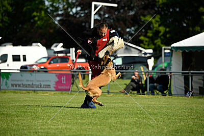 Soul of flame Bugsy-Bu