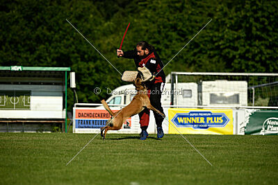 Soul of flame Bugsy-Bu