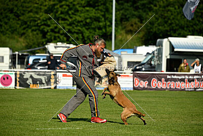 Soul of flame Bugsy-Bu