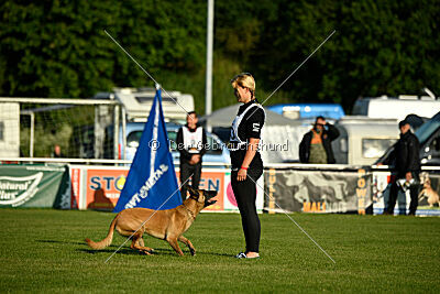 Soul of flame Bugsy-Bu