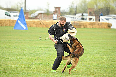 Storm Marinchuk K-9