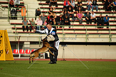 Storm Marinchuk K-9