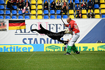 T-Lothar vom Hause Meraner