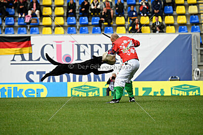 T-Lothar vom Hause Meraner