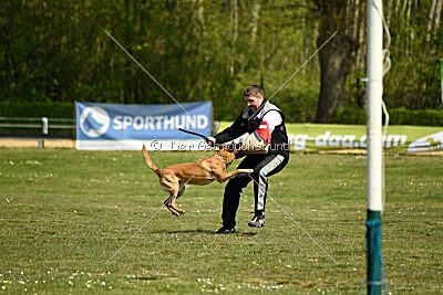 Tabasco vom Holzhäuser Flur