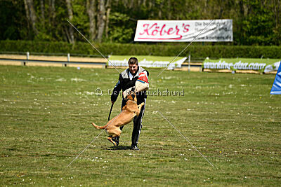 Tabasco vom Holzhäuser Flur