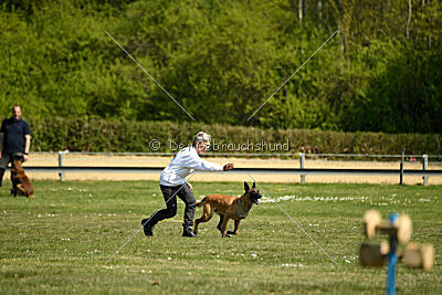 Tabasco vom Holzhäuser Flur
