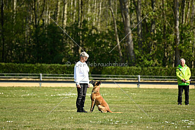 Tabasco vom Holzhäuser Flur