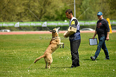 Tämä on Ihmeellinen