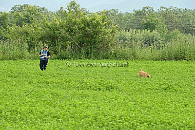 Tämä on Ihmeellinen