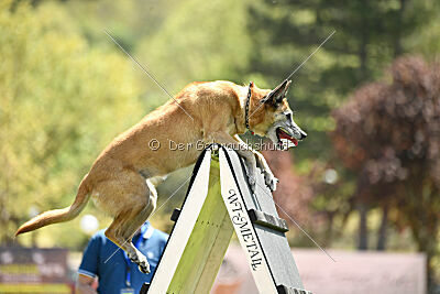 Tämä on Ihmeellinen