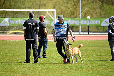 Tämä on Ihmeellinen