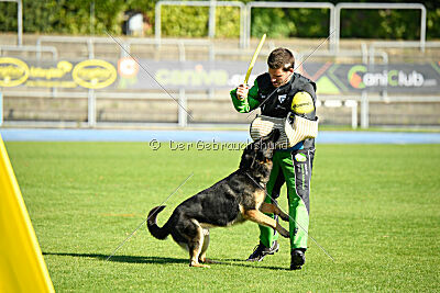 Tango aus dem Wesen Zwinger