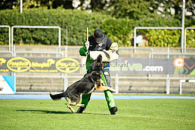Tango aus dem Wesen Zwinger