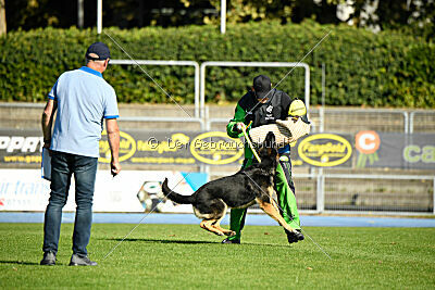 Tango aus dem Wesen Zwinger