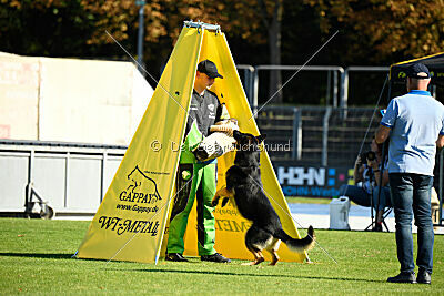 Tango aus dem Wesen Zwinger