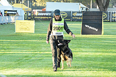 Tango aus dem Wesen Zwinger