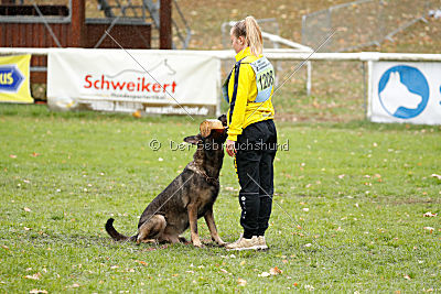 Taro von Burg Tiersperg