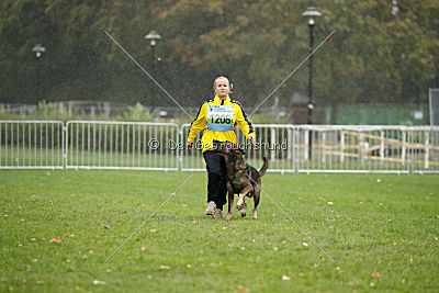Taro von Burg Tiersperg