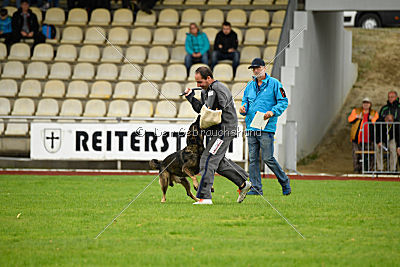 Taro von Burg Tiersperg