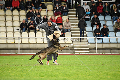 Taro von Burg Tiersperg