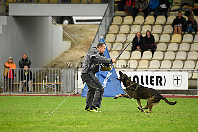 Taro von Burg Tiersperg