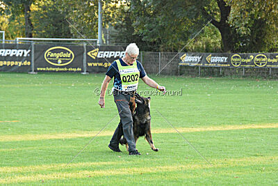 Team Gamedog Ambra