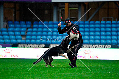 Teofil von der Winterschal