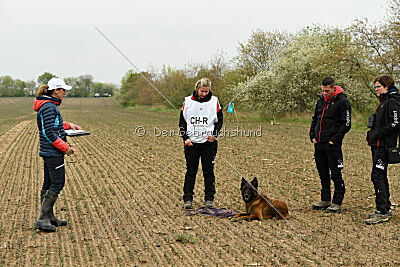 Thais out of Nastravik