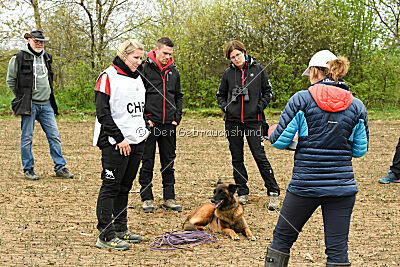 Thais out of Nastravik