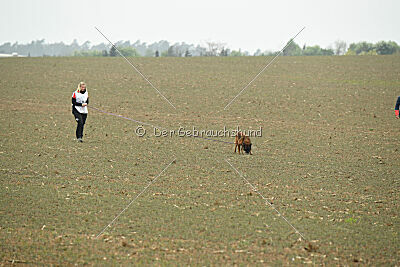 Thais out of Nastravik