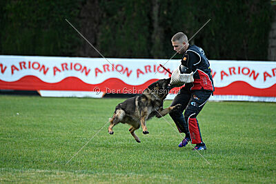 Thibo van Hamersslag