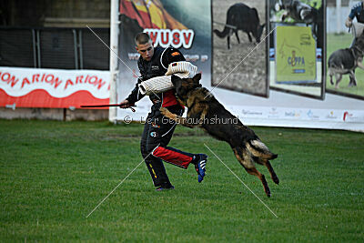 Thibo van Hamersslag