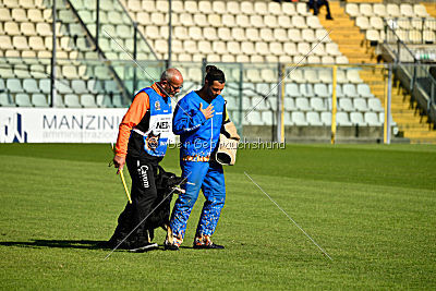 Thor van Sallandbloed