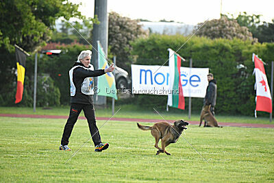 Thorr vom Hause Verda's