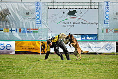 Thorr vom Hause Verda's