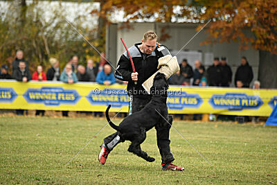 Tintenfass Watson HV'S Son