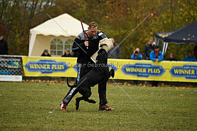 Tintenfass Watson HV'S Son