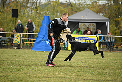 Tintenfass Watson HV'S Son