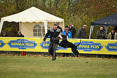 Tintenfass Watson HV'S Son